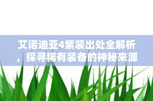 艾诺迪亚4紫装出处全解析图片
