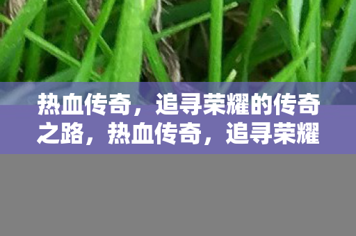 热血传奇,追寻荣耀的传奇之路,热血传奇,追寻荣耀的传奇之路 热血传奇,追寻荣耀的传奇之路,热血传奇,追寻荣耀的传奇之路