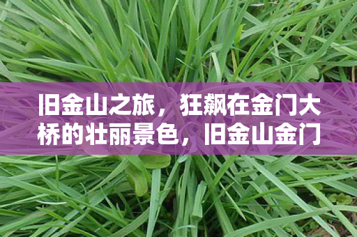 狂飙在金门大桥的壮丽景色图片