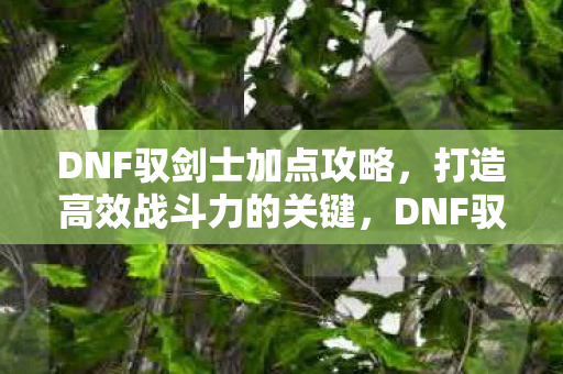 DNF驭剑士加点攻略,打造高效战斗力的关键,DNF驭剑士加点攻略,打造高效战斗力的关键 DNF驭剑士加点攻略,打造高效战斗力的关键,DNF驭剑士加点攻略,打造高效战斗力的关键
