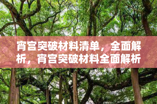 宵宫突破材料清单,全面解析,宵宫突破材料全面解析 宵宫突破材料清单,全面解析,宵宫突破材料全面解析