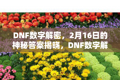 DNF数字解密,2月16日的神秘答案揭晓,DNF数字解密,2月16日神秘答案揭晓 DNF数字解密,2月16日的神秘答案揭晓,DNF数字解密,2月16日神秘答案揭晓