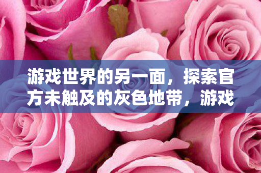 探索官方未触及的灰色地带图片