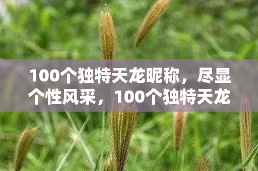 100个独特天龙昵称,尽显个性风采,100个独特天龙昵称,尽显个性风采 100个独特天龙昵称,尽显个性风采,100个独特天龙昵称,尽显个性风采