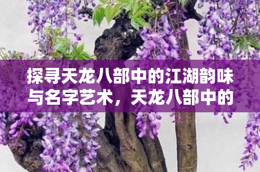 探寻天龙八部中的江湖韵味与名字艺术图片
