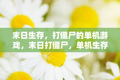 打僵尸的单机游戏图片