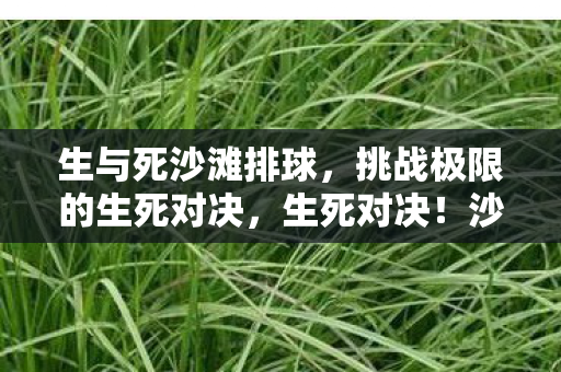 生与死沙滩排球，挑战极限的生死对决，生死对决！沙滩排球挑战极限