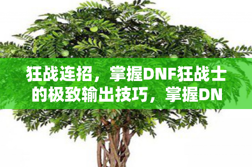 掌握DNF狂战士的极致输出技巧图片