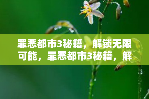罪恶都市3秘籍图片