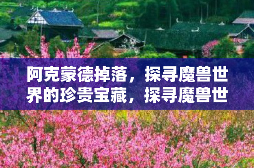 探寻魔兽世界的珍贵宝藏图片