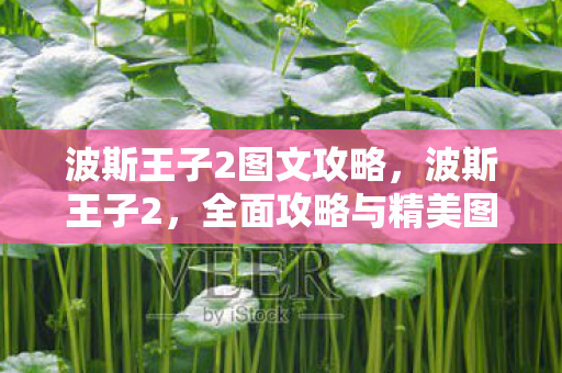波斯王子2图文攻略，波斯王子2，全面攻略与精美图赏