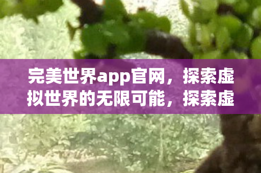 完美世界app官网，探索虚拟世界的无限可能，探索虚拟世界的无限可能，完美世界app官网
