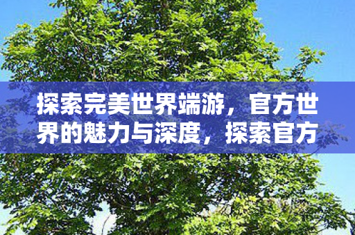 探索完美世界端游，官方世界的魅力与深度，探索官方世界的魅力与深度