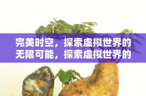 完美时空，探索虚拟世界的无限可能，探索虚拟世界的无限可能，完美时空