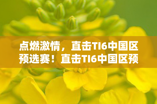 直击TI6中国区预选赛图片