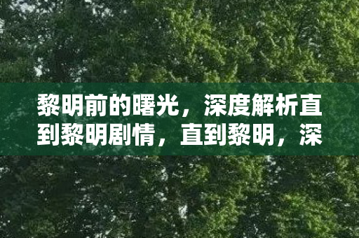 深度解析直到黎明剧情图片