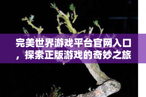 完美世界游戏平台官网入口图片