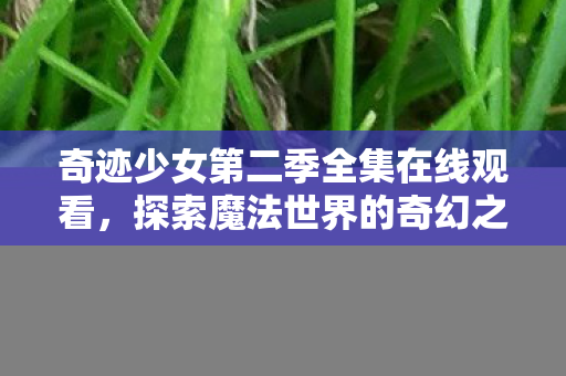 奇迹少女第二季全集在线观看图片
