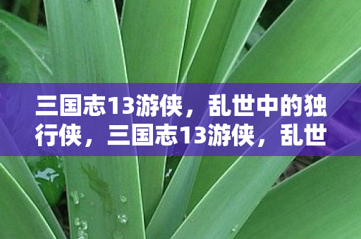 三国志13游侠，乱世中的独行侠，三国志13游侠，乱世中的独行侠