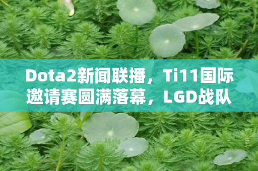Dota2新闻联播,Ti11国际邀请赛圆满落幕,LGD战队勇夺冠军 Dota2新闻联播,Ti11国际邀请赛圆满落幕,LGD战队勇夺冠军