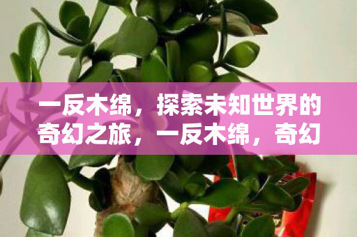 一反木绵,探索未知世界的奇幻之旅,一反木绵,奇幻之旅探索未知世界 一反木绵,探索未知世界的奇幻之旅,一反木绵,奇幻之旅探索未知世界