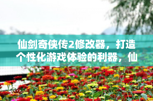 仙剑奇侠传2修改器,打造个性化游戏体验的利器,仙剑奇侠传2修改器,打造个性化游戏体验 仙剑奇侠传2修改器,打造个性化游戏体验的利器,仙剑奇侠传2修改器,打造个性化游戏体验