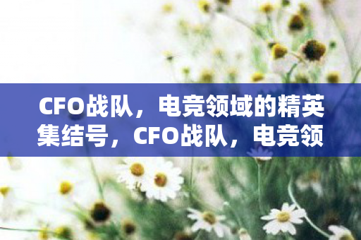 CFO战队,电竞领域的精英集结号,CFO战队,电竞领域的精英集结号 CFO战队,电竞领域的精英集结号,CFO战队,电竞领域的精英集结号