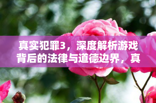 真实犯罪3,深度解析游戏背后的法律与道德边界,真实犯罪3,游戏背后的法律与道德边界深度解析 真实犯罪3,深度解析游戏背后的法律与道德边界,真实犯罪3,游戏背后的法律与道德边界深度解析