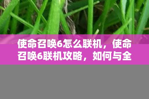 使命召唤6怎么联机,使命召唤6联机攻略,如何与全球玩家一起战斗? 使命召唤6怎么联机,使命召唤6联机攻略,如何与全球玩家一起战斗?
