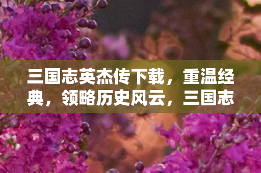 三国志英杰传下载,重温经典,领略历史风云,三国志英杰传下载,重温经典,领略历史风云 三国志英杰传下载,重温经典,领略历史风云,三国志英杰传下载,重温经典,领略历史风云