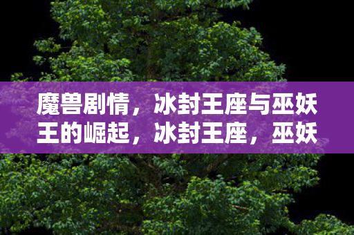 魔兽剧情,冰封王座与巫妖王的崛起,冰封王座,巫妖王的崛起 魔兽剧情,冰封王座与巫妖王的崛起,冰封王座,巫妖王的崛起