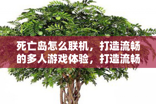 死亡岛怎么联机,打造流畅的多人游戏体验,打造流畅的多人游戏体验,死亡岛联机攻略 死亡岛怎么联机,打造流畅的多人游戏体验,打造流畅的多人游戏体验,死亡岛联机攻略