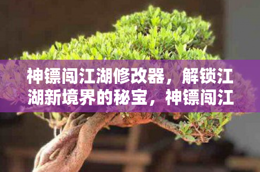 神镖闯江湖修改器,解锁江湖新境界的秘宝,神镖闯江湖修改器,解锁江湖新境界的秘宝 神镖闯江湖修改器,解锁江湖新境界的秘宝,神镖闯江湖修改器,解锁江湖新境界的秘宝