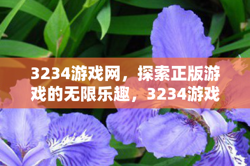 3234游戏网,探索正版游戏的无限乐趣,3234游戏网,探索正版游戏的无限乐趣 3234游戏网,探索正版游戏的无限乐趣,3234游戏网,探索正版游戏的无限乐趣