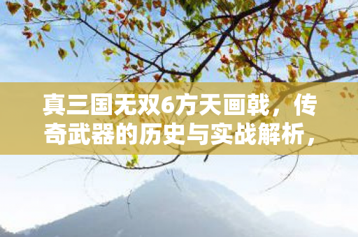 真三国无双6方天画戟,传奇武器的历史与实战解析,真三国无双6,方天画戟的历史与实战解析 真三国无双6方天画戟,传奇武器的历史与实战解析,真三国无双6,方天画戟的历史与实战解析