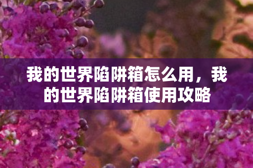 我的世界陷阱箱怎么用,我的世界陷阱箱使用攻略 我的世界陷阱箱怎么用,我的世界陷阱箱使用攻略