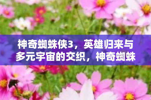 神奇蜘蛛侠3，英雄归来与多元宇宙的交织，神奇蜘蛛侠3，多元宇宙交织，英雄归来再燃银幕