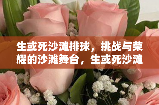 生或死沙滩排球,挑战与荣耀的沙滩舞台,生或死沙滩排球,挑战与荣耀的沙滩舞台 生或死沙滩排球,挑战与荣耀的沙滩舞台,生或死沙滩排球,挑战与荣耀的沙滩舞台