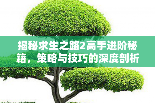 揭秘求生之路2高手进阶秘籍,策略与技巧的深度剖析,揭秘求生之路2高手进阶秘籍,策略与技巧的深度剖析 揭秘求生之路2高手进阶秘籍,策略与技巧的深度剖析,揭秘求生之路2高手进阶秘籍,策略与技巧的深度剖析