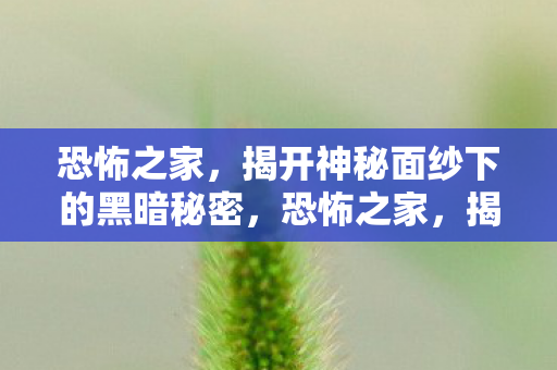 恐怖之家,揭开神秘面纱下的黑暗秘密,恐怖之家,揭开神秘面纱下的黑暗秘密 恐怖之家,揭开神秘面纱下的黑暗秘密,恐怖之家,揭开神秘面纱下的黑暗秘密