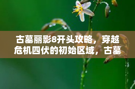 古墓丽影8开头攻略,穿越危机四伏的初始区域,古墓丽影8初始区域攻略,穿越危机四伏的冒险之旅 古墓丽影8开头攻略,穿越危机四伏的初始区域,古墓丽影8初始区域攻略,穿越危机四伏的冒险之旅