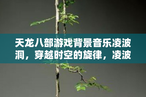 天龙八部游戏背景音乐凌波洞图片