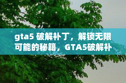 gta5 破解补丁,解锁无限可能的秘籍,GTA5破解补丁,解锁无限可能的秘籍 gta5 破解补丁,解锁无限可能的秘籍,GTA5破解补丁,解锁无限可能的秘籍