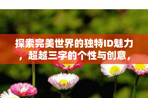 探索完美世界的独特ID魅力,超越三字的个性与创意,探索ID魅力,超越三字的个性与创意 探索完美世界的独特ID魅力,超越三字的个性与创意,探索ID魅力,超越三字的个性与创意