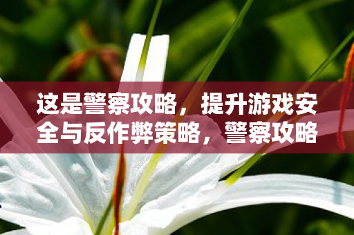 这是警察攻略，提升游戏安全与反作弊策略，警察攻略，提升游戏安全与反作弊策略