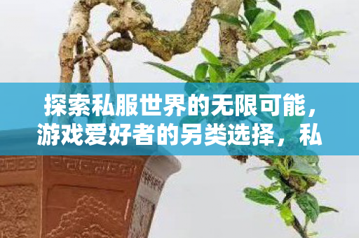 探索私服世界的无限可能，游戏爱好者的另类选择，私服世界，游戏爱好者的另类选择
