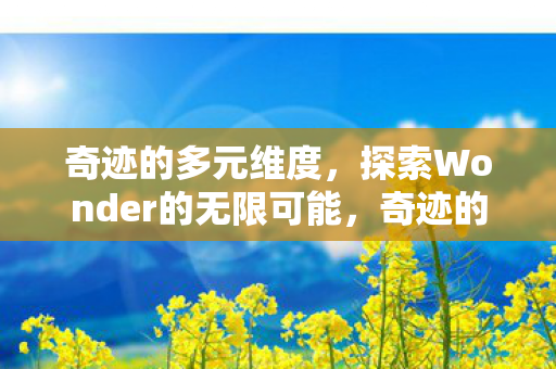 探索Wonder的无限可能图片