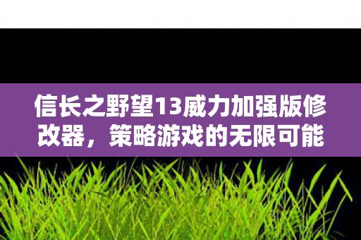 信长之野望13威力加强版修改器图片