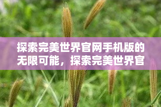 探索完美世界官网手机版的无限可能,探索完美世界官网手机版的无限可能 探索完美世界官网手机版的无限可能,探索完美世界官网手机版的无限可能
