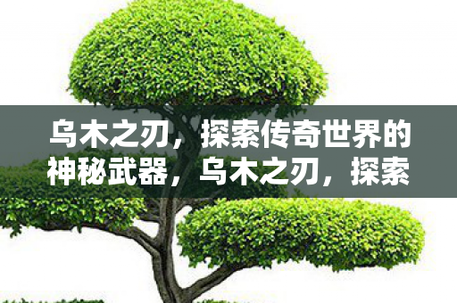乌木之刃，探索传奇世界的神秘武器，乌木之刃，探索传奇世界的神秘武器